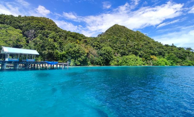Perjalanan Menuju Ke Pulau Misool Di Raja Ampat