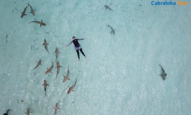 Perjalanan Menuju Ke Pulau Misool Di Raja Ampat